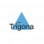 Trigona webdesign